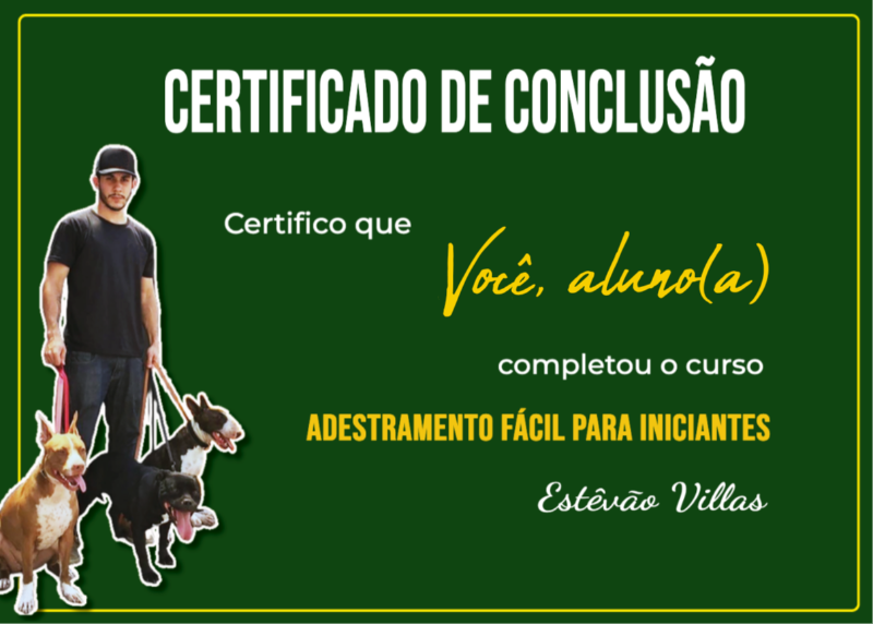 certificado_curso.png